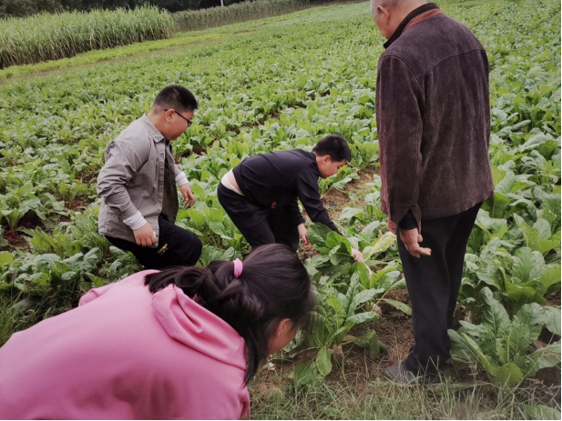【阳光公益·经开莲花】“走进自然，体验生活”活动