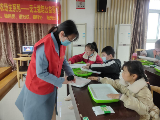 【阳光公益·肥西桃花】新的栽培方法“无土栽培”