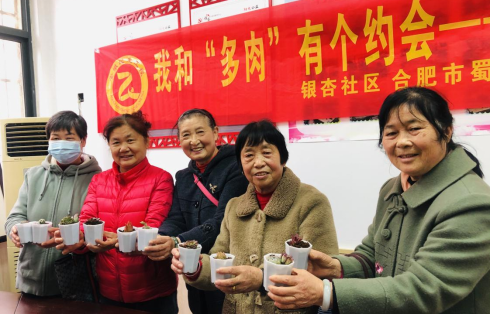 【阳光公益·兴园银杏】我和“多肉”有个约会——DIY多肉种植活动