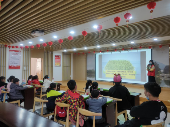【阳光公益·肥西桃花】开展“欢乐农场”二期无土栽培活动