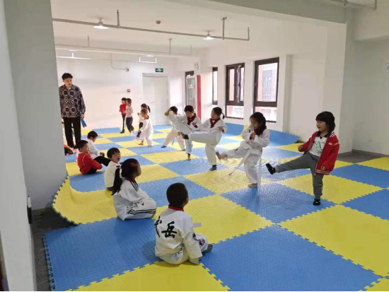 【阳光公益·蜀麓林溪】开展“武礼跆拳”活动