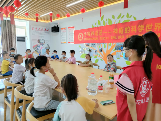 【阳光公益·肥西桃花】举办“牛顿养成记之神奇的科学世界”活动