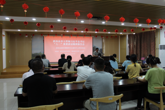 【阳光公益·肥西桃花】学习贯彻习近平总书记“七一”重要讲话精神报告会