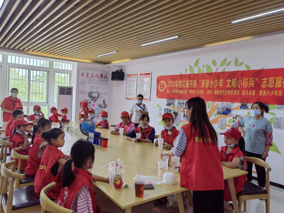 【阳光公益·肥西桃花】“美德小少年，文明小标兵”志愿服务活动