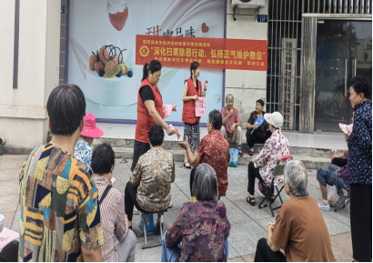 【阳光公益·肥西桃花】开展扫黑除恶政策宣传活动