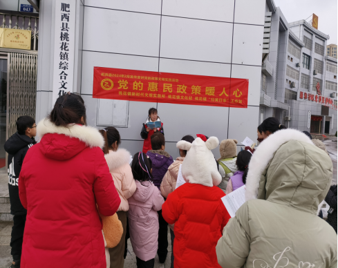 【阳光公益·肥西桃花】党的惠民政策暖人心