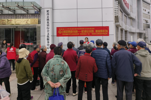 【阳光公益·肥西桃花】开展惠民政策宣传活动