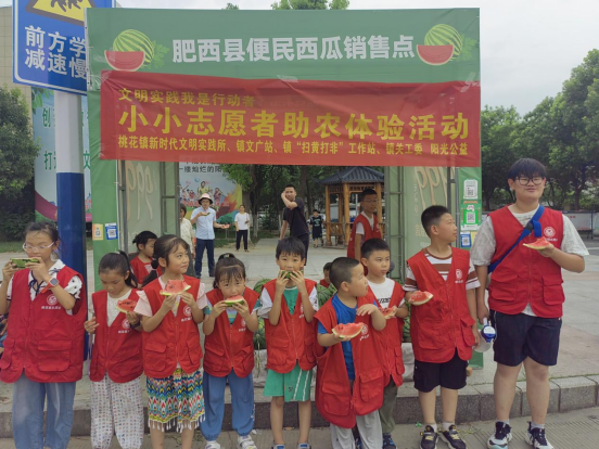 【阳光公益·肥西桃花】开展小小志愿者助农体验活动