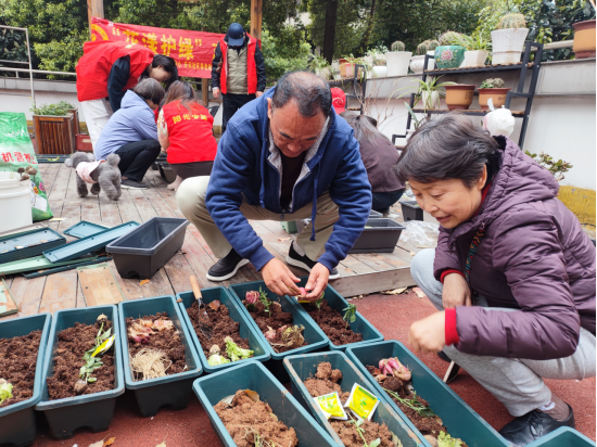 【阳光公益·天乐中心】花样护绿志愿者活动——共享菜园种植